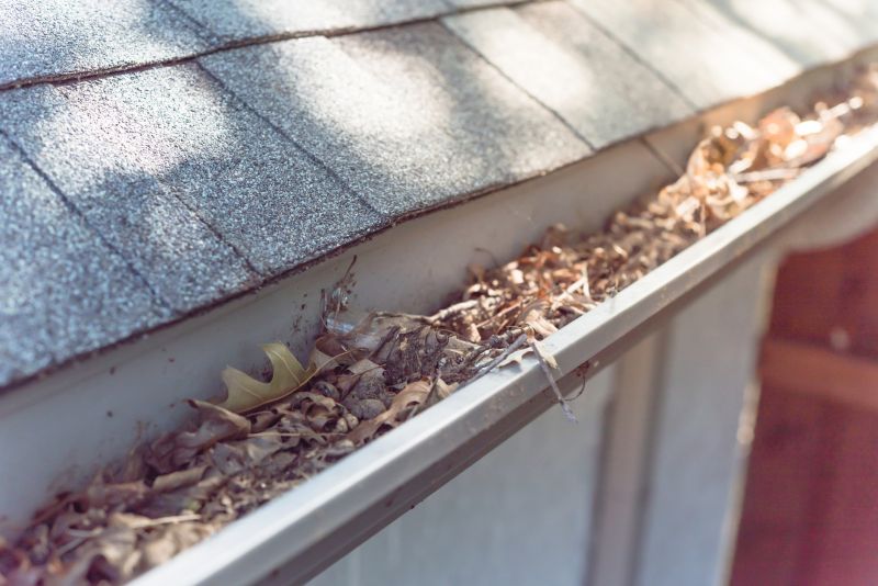 Debris-Free Gutters